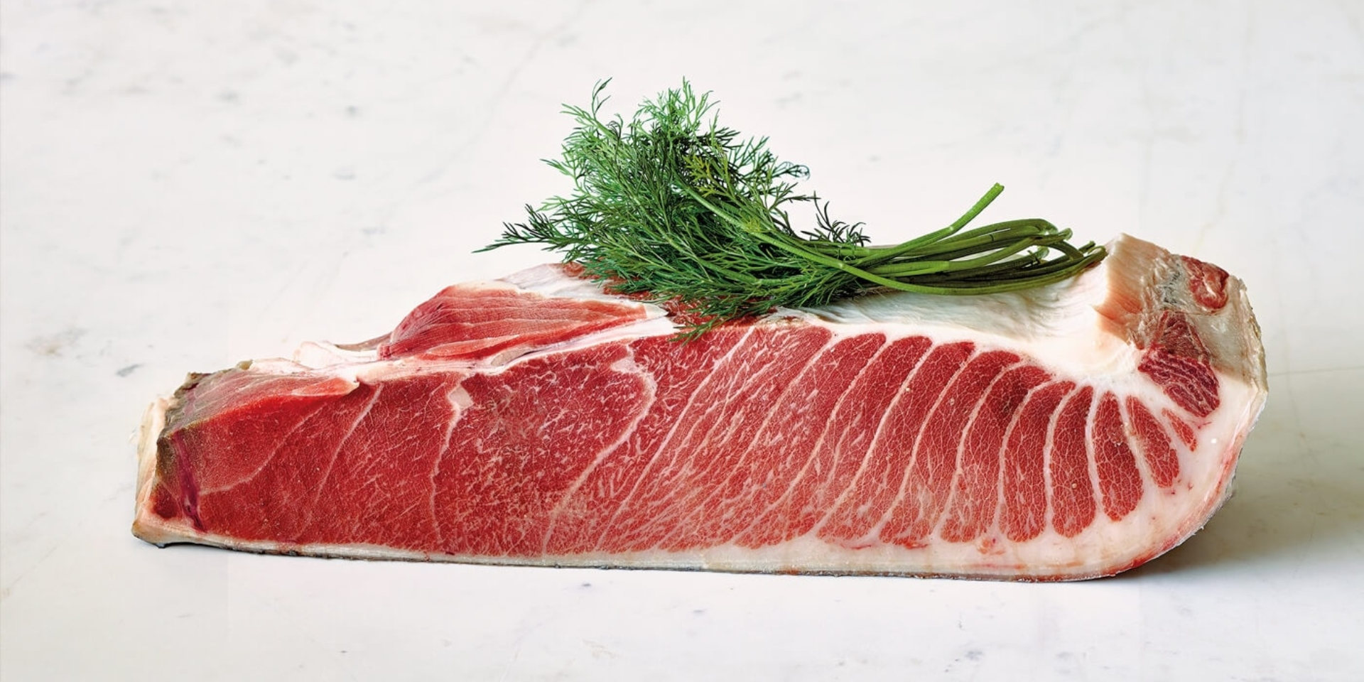 The art of bluefin tuna snoring live