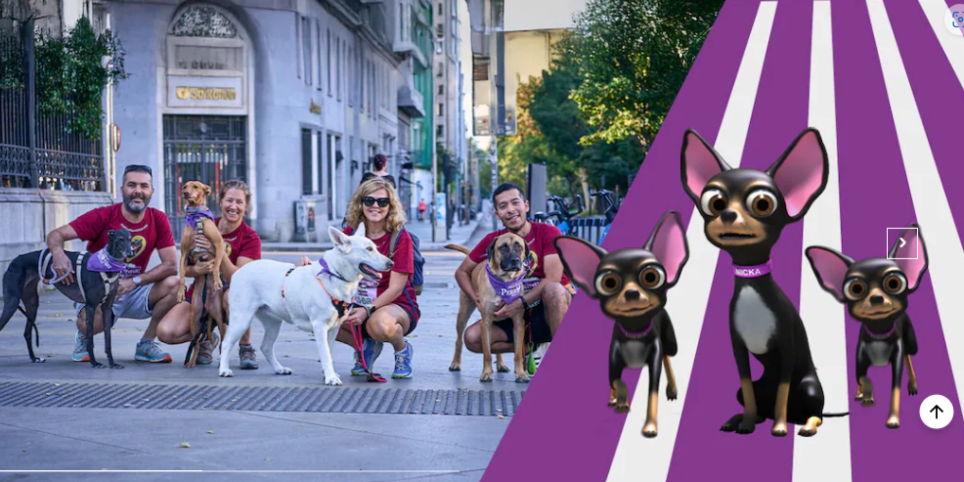 Perrotón Madrid 2025 Nicka Run: 14th Race for the Adoption and Responsible Ownership of Companion Animals and Against Abandonment and Animal Abuse