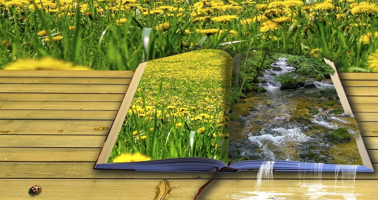 RECITAL POÉTICO “SAPIENTIA ET POESIS”