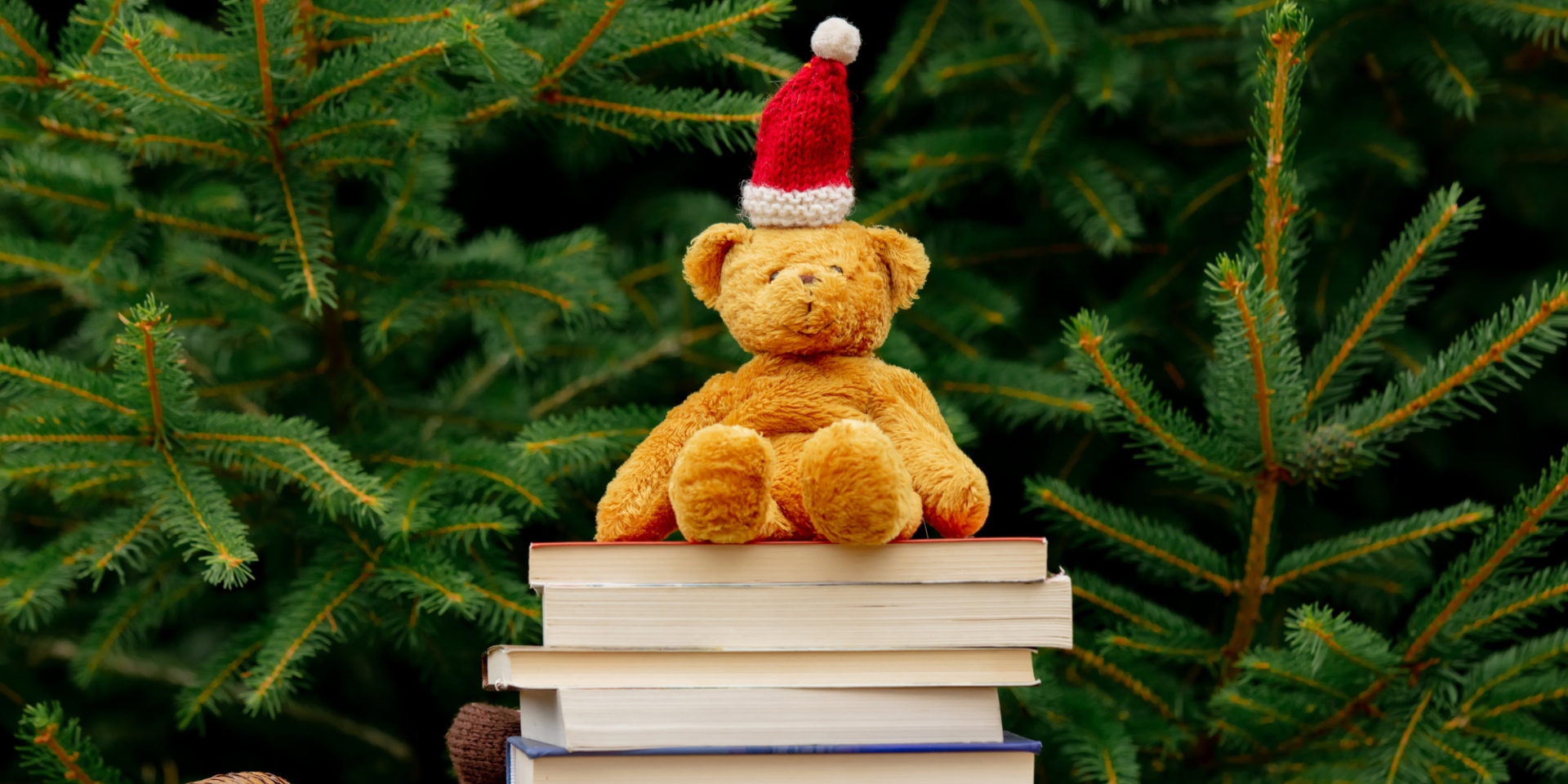 Pasacalles "Cuentos y Juguetes"