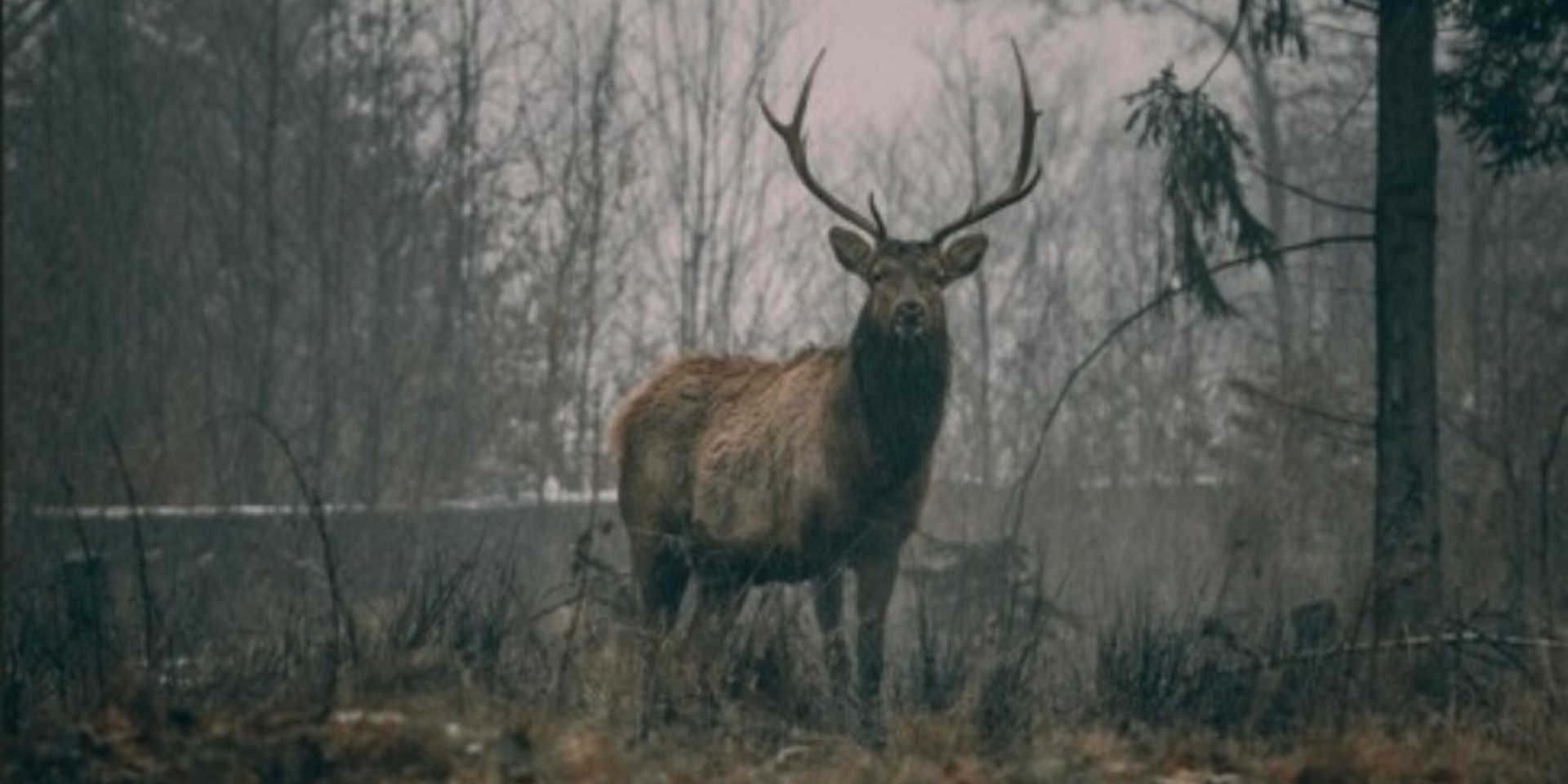 ‘TERTULIA CINEGÉTICA’