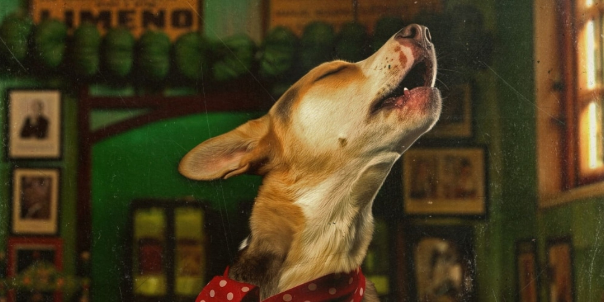 FIRMA DE DISCOS: "NO ME PISES QUE LLEVO CHANCLAS"