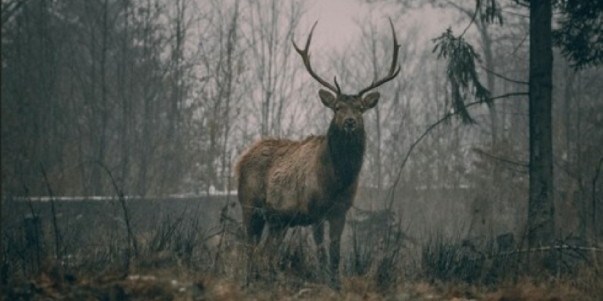 Tertulia cinegética