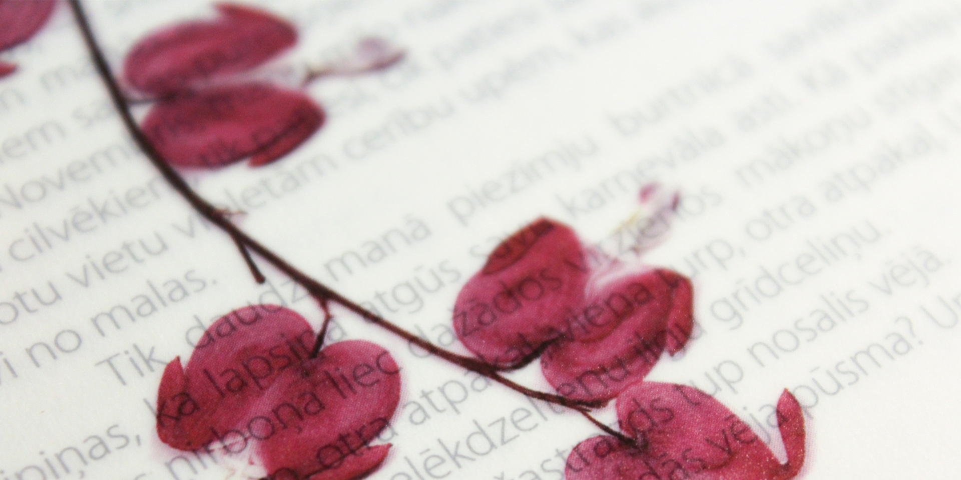 Poesía en los museos