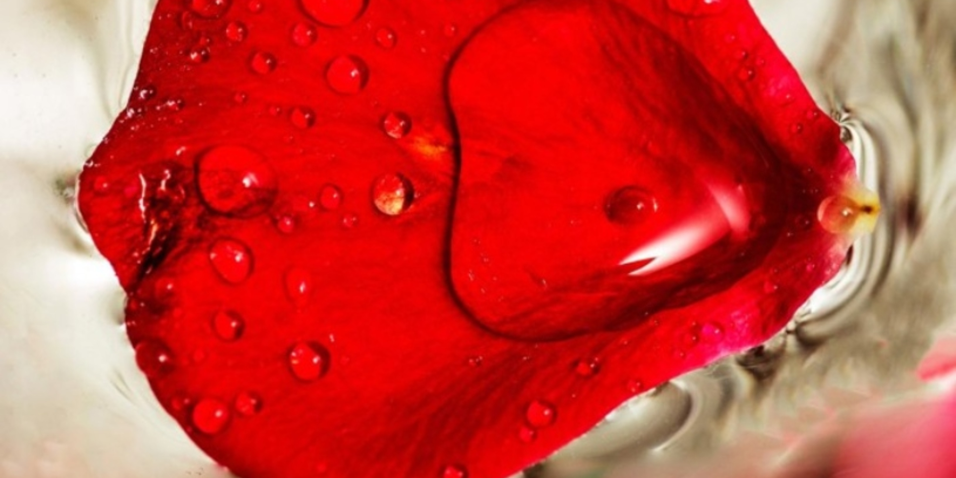 EXPOSICIÓN ‘FOTOGRAFÍA Y CIENCIA’