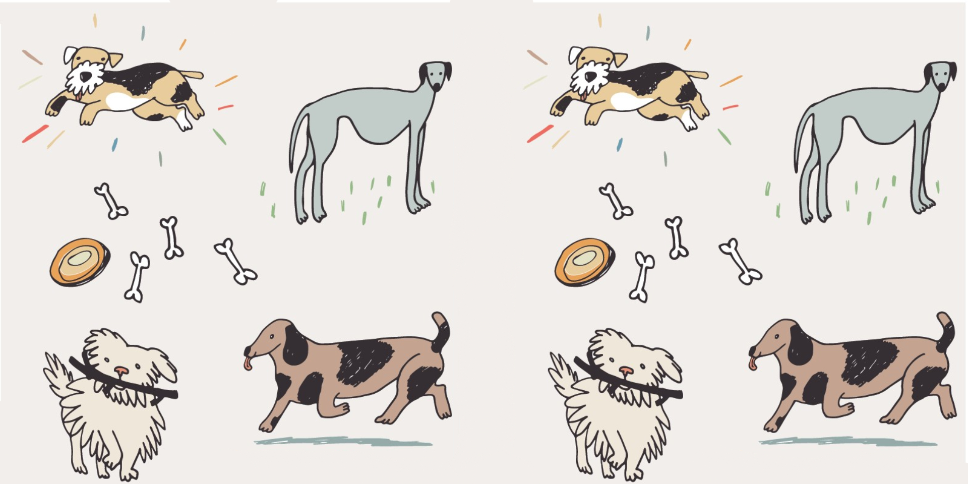 RECOGIDA VIRTUAL DE ALIMENTOS PARA MASCOTAS