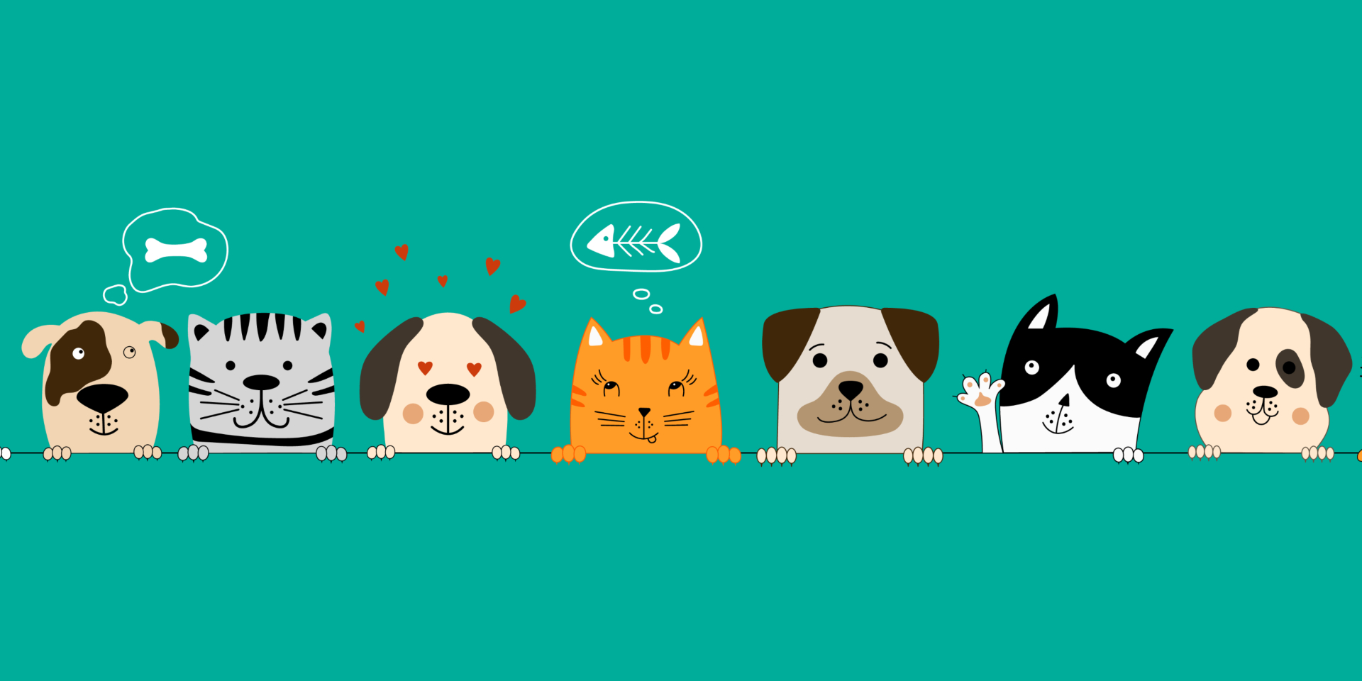 RECOGIDA SOLIDARIA DE ALIMENTOS PARA MASCOTAS